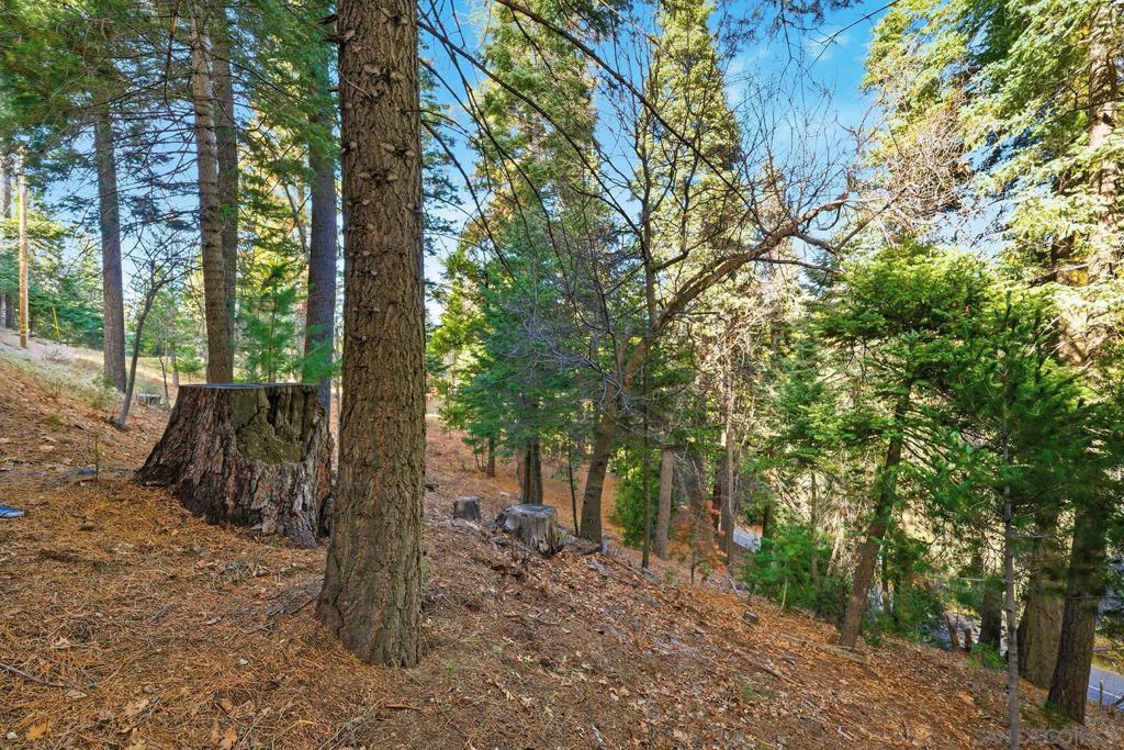0 State Highway Property Photo 18