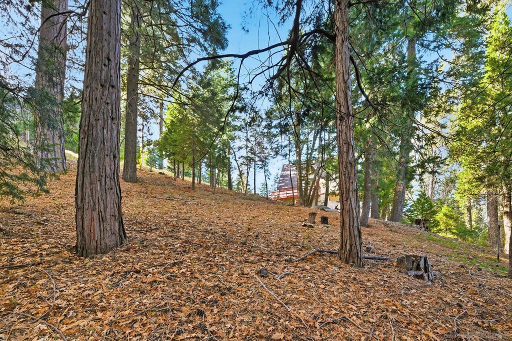 0 State Highway Property Photo 20