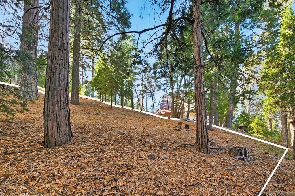 0 State Highway Property Photo 21