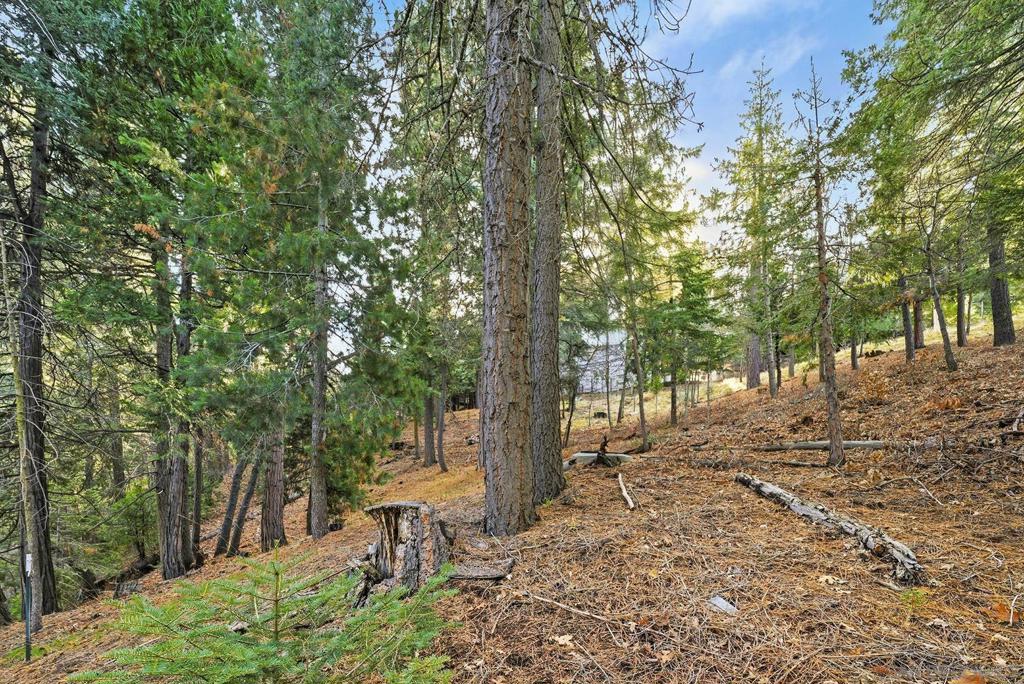 0 State Highway Property Photo 22