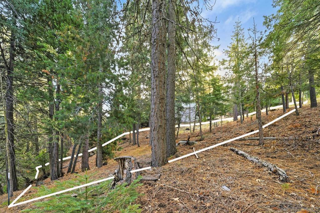0 State Highway Property Photo 23