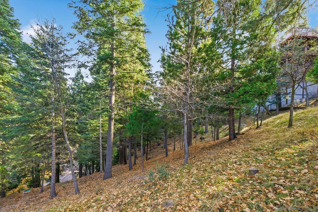 0 State Highway Property Photo 24