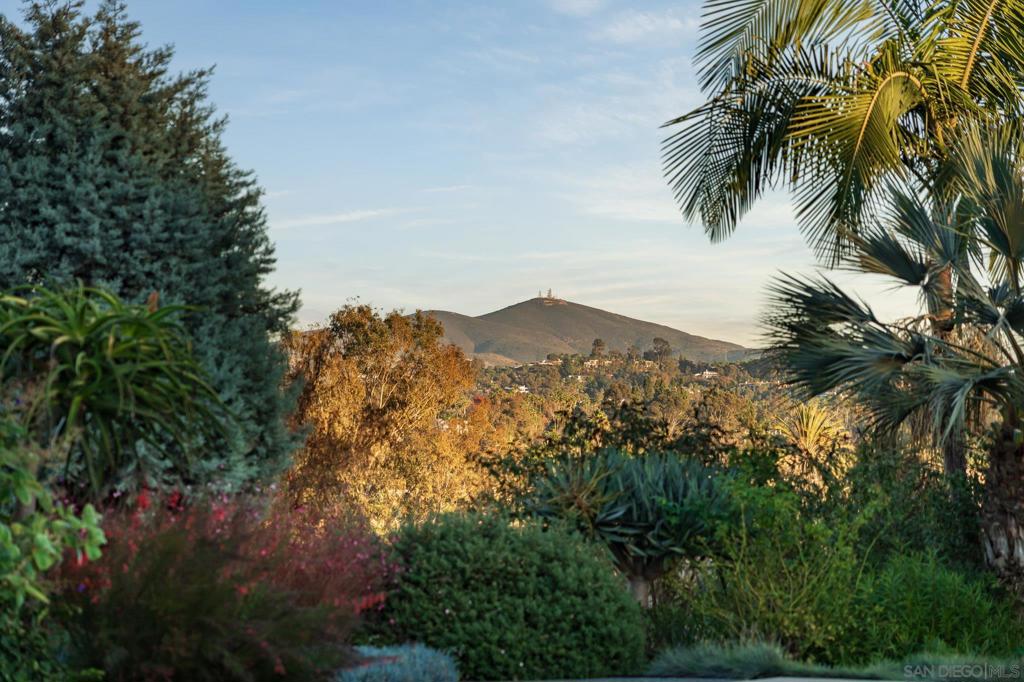 16039 Via Del Alba Property Photo 21