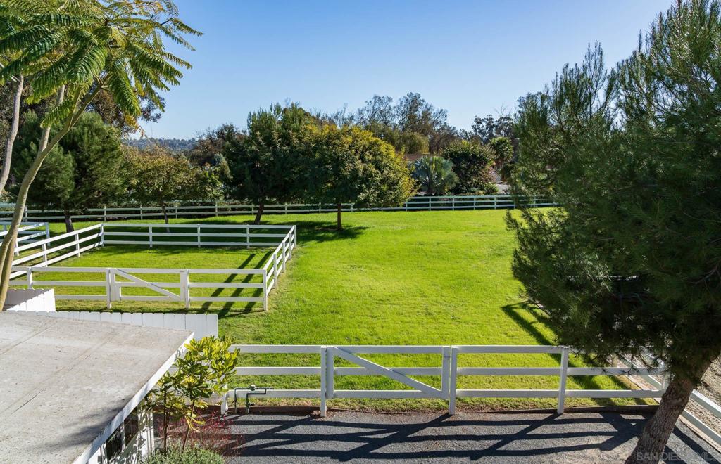 16039 Via Del Alba Property Photo 41