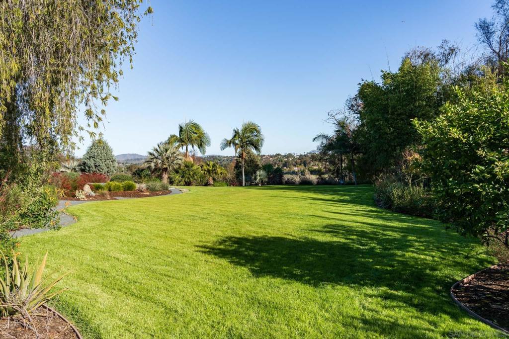 16039 Via Del Alba Property Photo 52