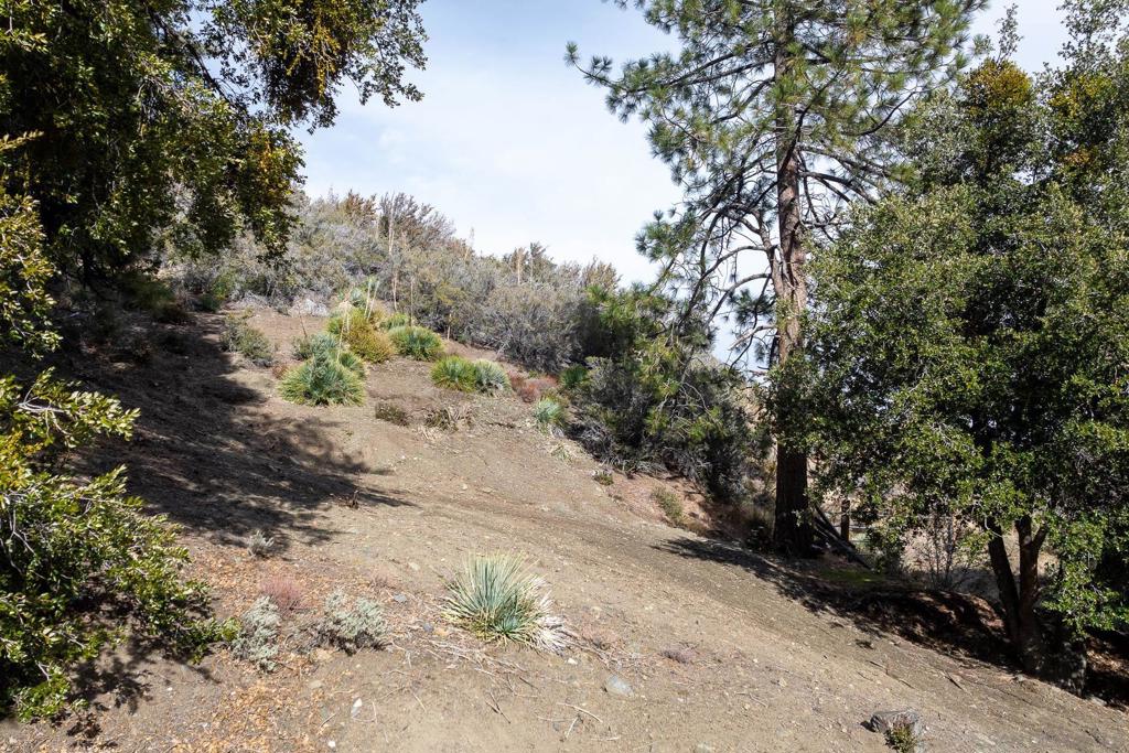 0 Timberline Dr Property Photo 3