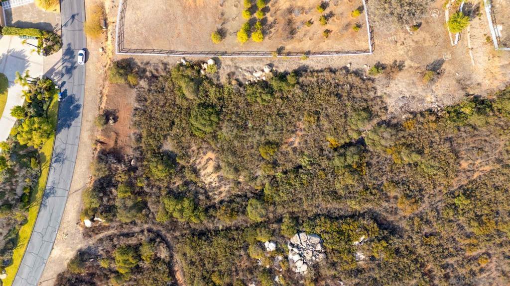 87 Presilla Dr Property Photo 11