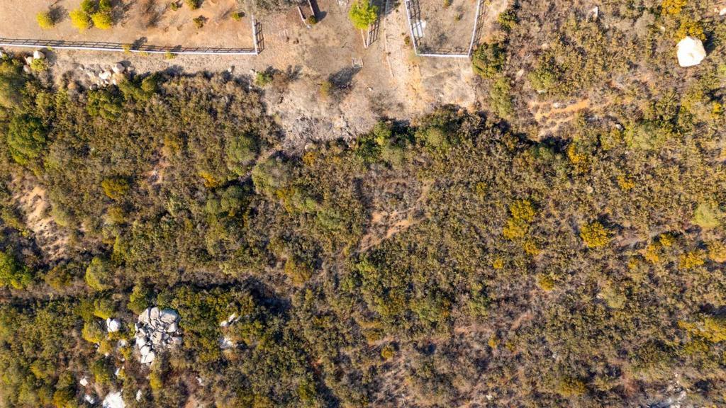 87 Presilla Dr Property Photo 29