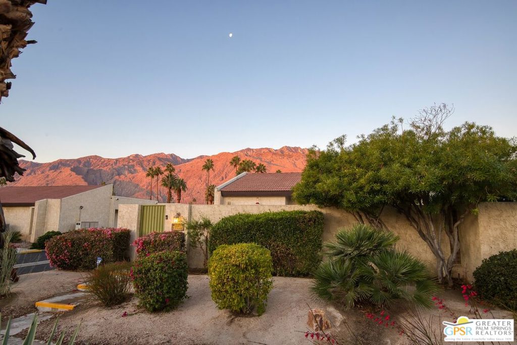 1455 E Amado Road Property Photo 4