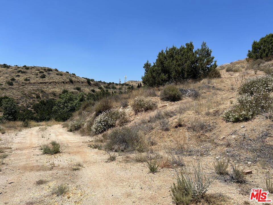 9333 Escondido Canyon Road Property Photo 62