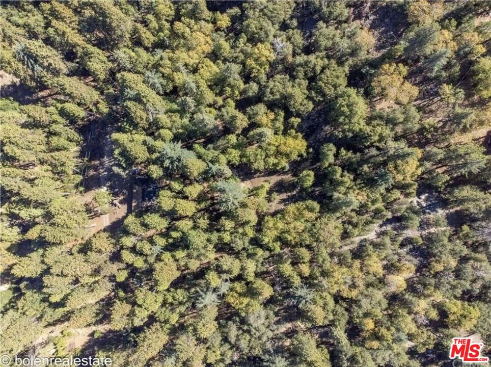 52101 Red Hill Rd Property Photo 7