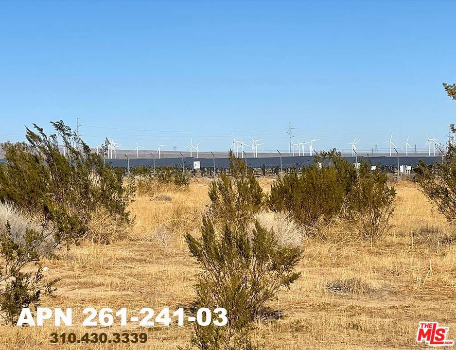 0 Patterson Road Property Photo 10