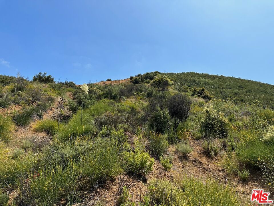 0 Kanan Road Property Photo 22