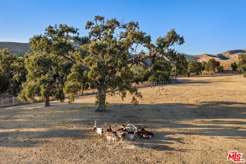 7351 Happy Canyon Road Property Photo 35