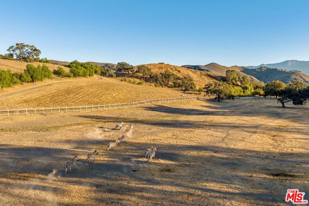 7351 Happy Canyon Road Property Photo 36