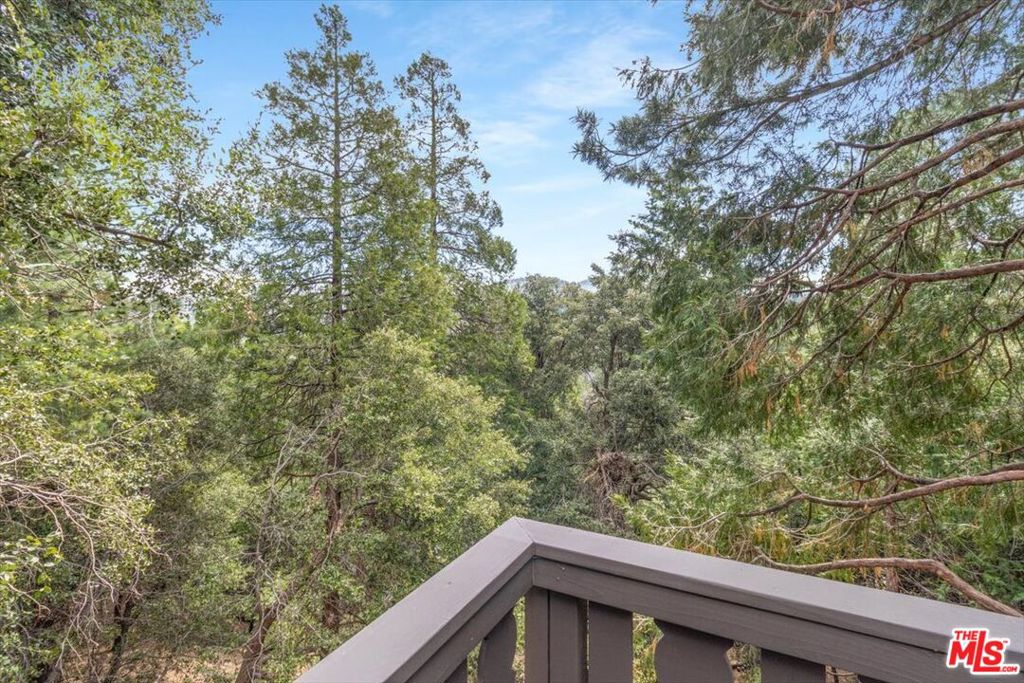 24310 Altdorf Drive Property Photo 69