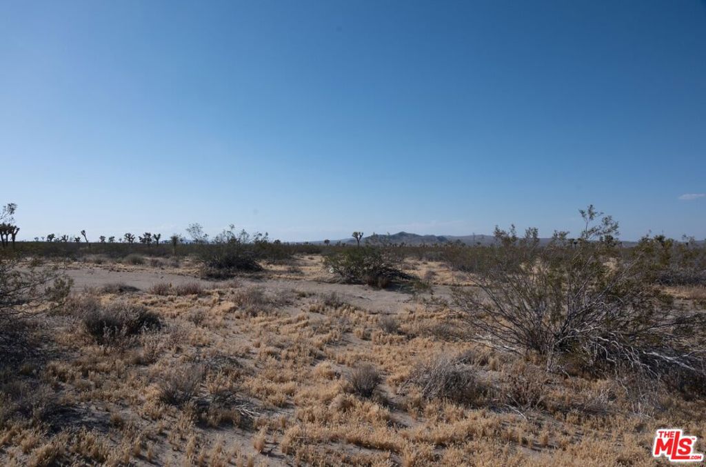 0 Lessing Avenue Property Photo