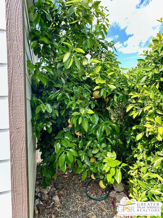 69801 Ramon Road 99 Property Photo 13