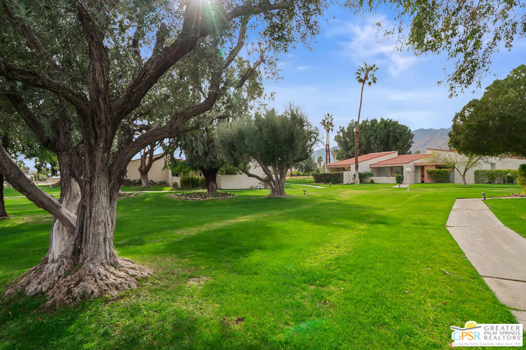 2537 N Whitewater Club Drive C Property Photo 3