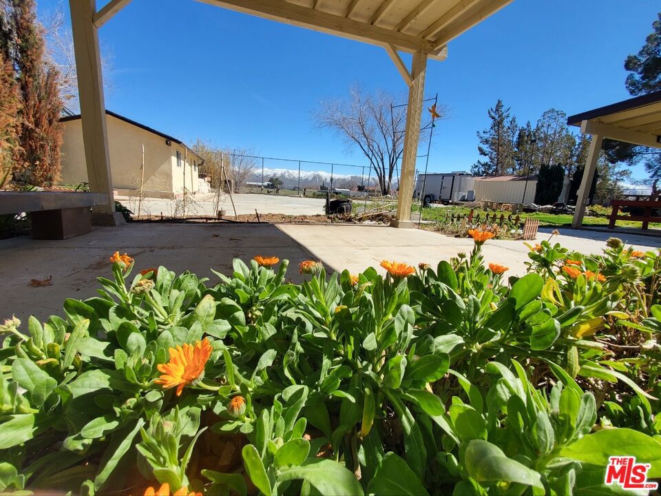 7215 Lyons Avenue Property Photo 4