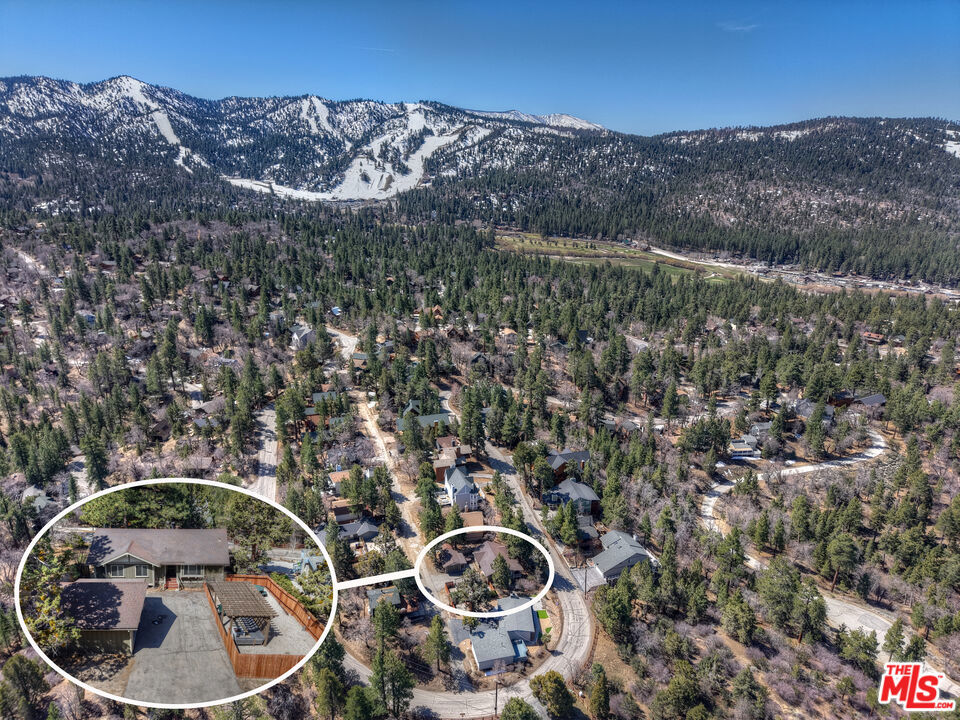 779 Villa Grove Avenue Property Photo 7