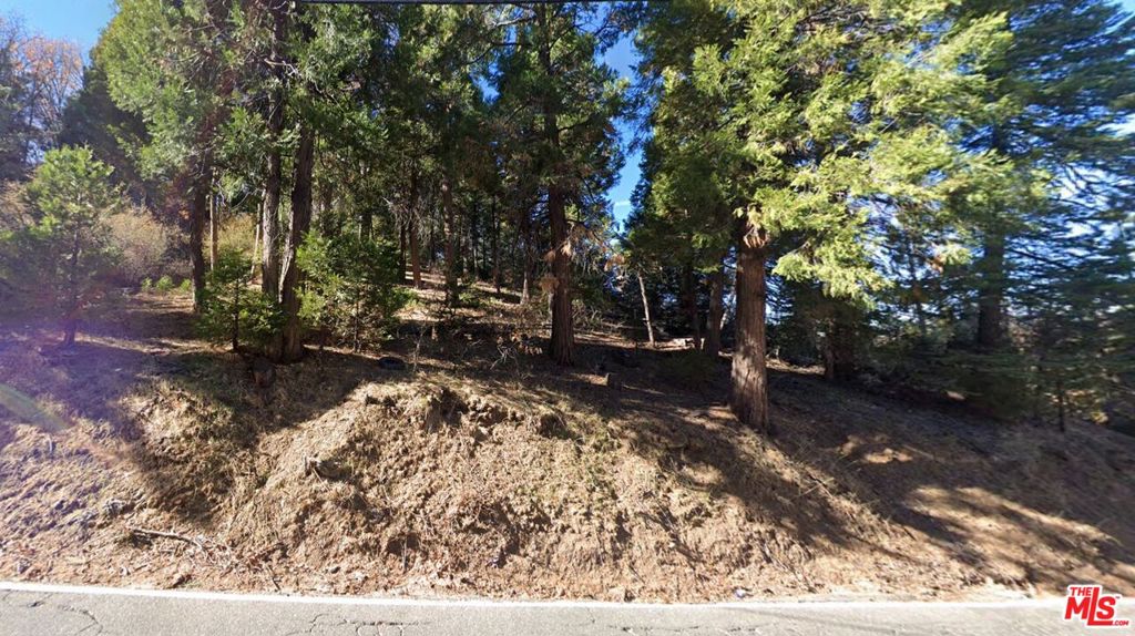 0 Ponderosa Drive Property Photo