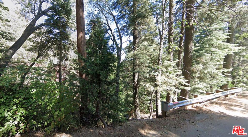 0 Community Drive Property Photo 2