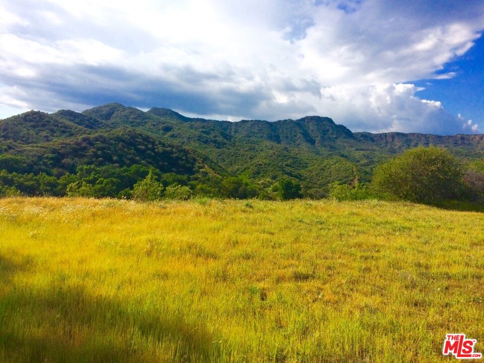 935 Cold Canyon Property Photo 7