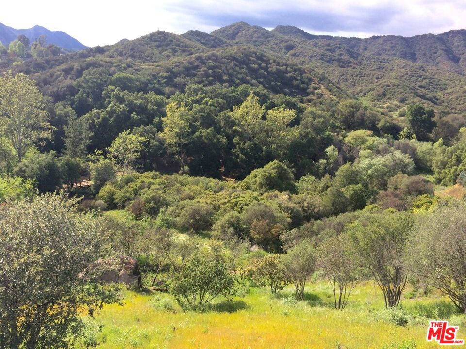 935 Cold Canyon Property Photo 11