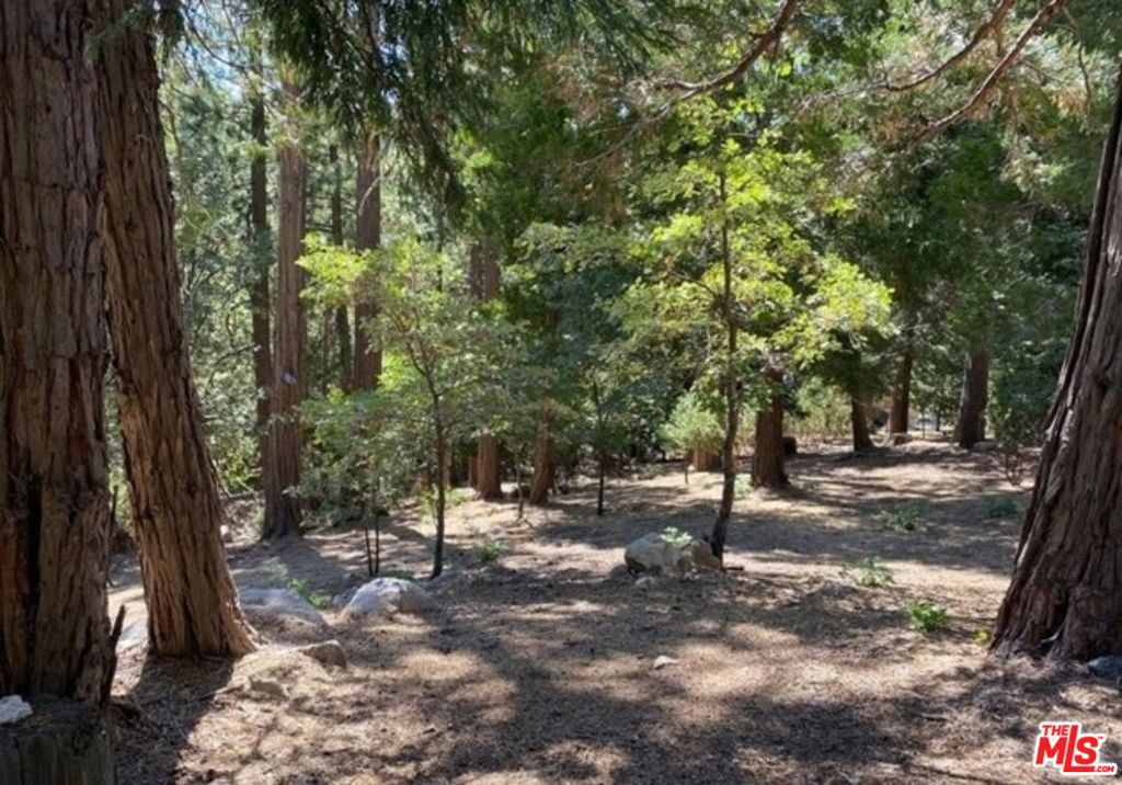 0 Grass Valley