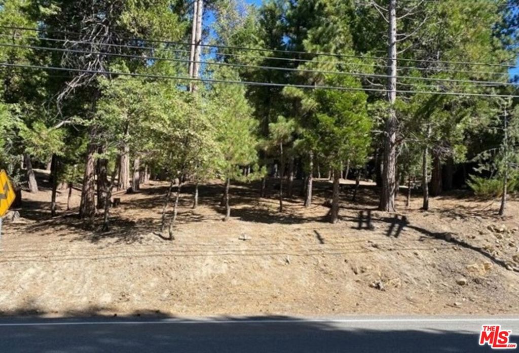 0 Grass Valley Property Photo 2