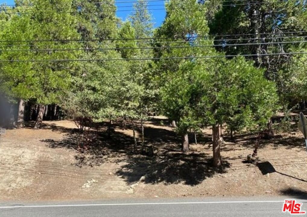 0 Grass Valley Property Photo 3
