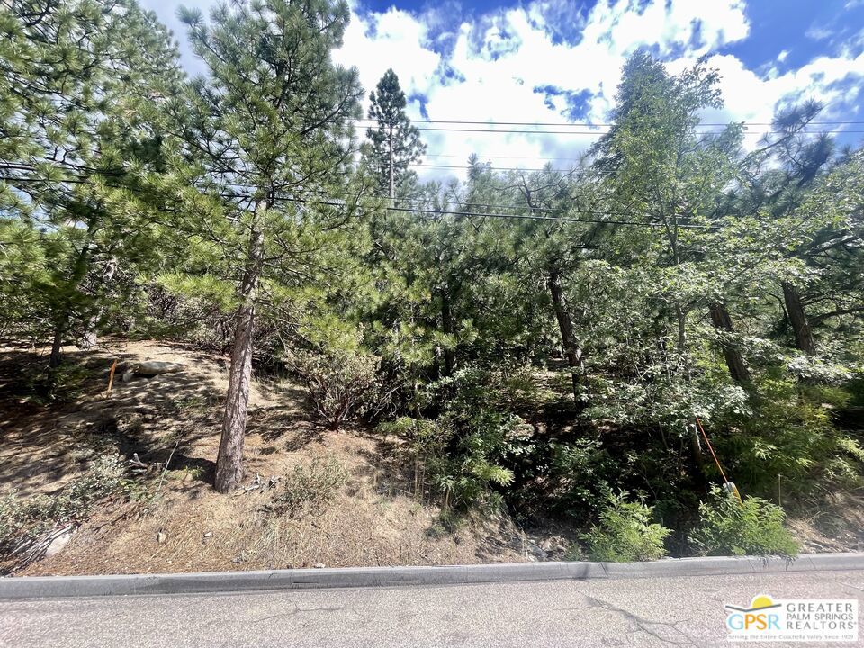 6011 Mountain Home Creek Road Property Photo 1