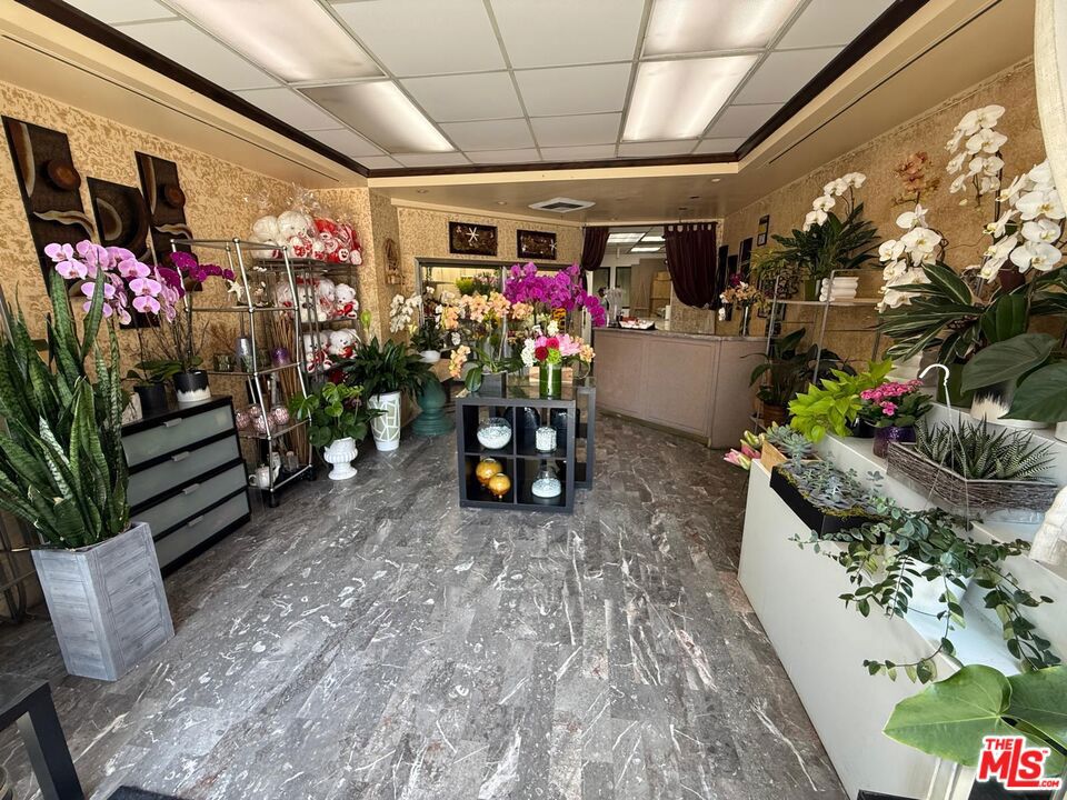 515 S Olive Street Property Photo 1