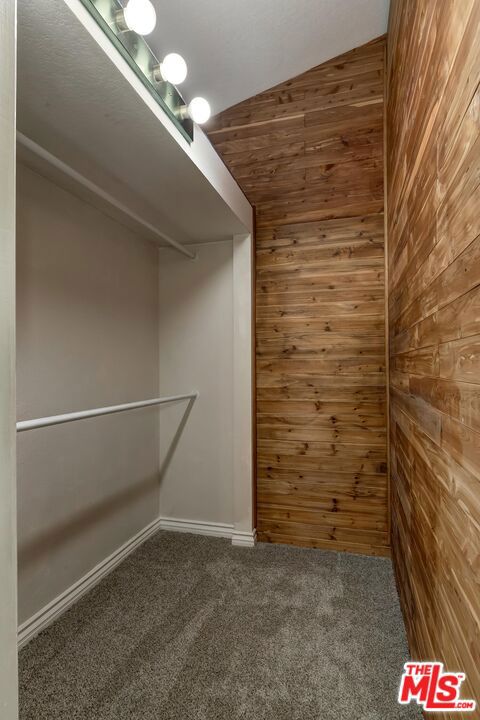 4210 Lost Springs Drive Property Photo 22