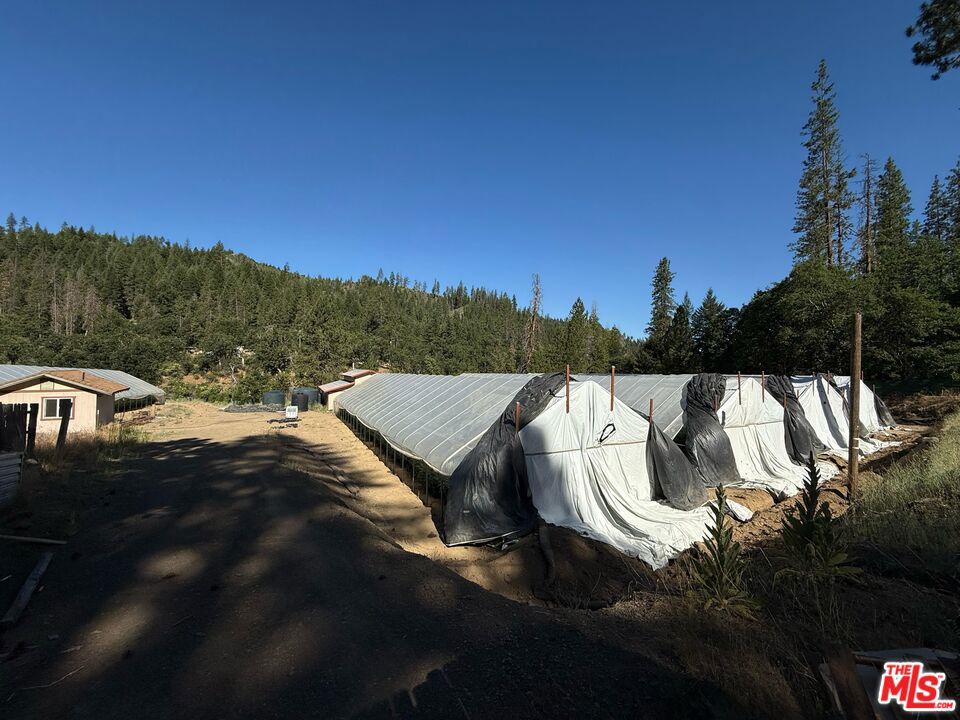 3191 State Highway 3 Property Photo 11