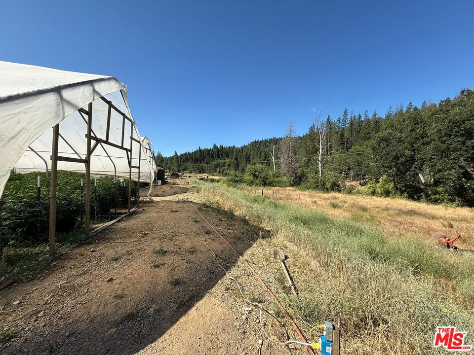 3191 State Highway 3 Property Photo 46