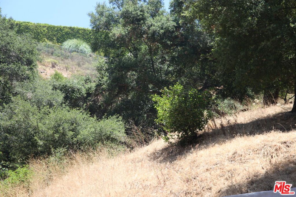 2534 Benedict Canyon Drive Property Photo 20