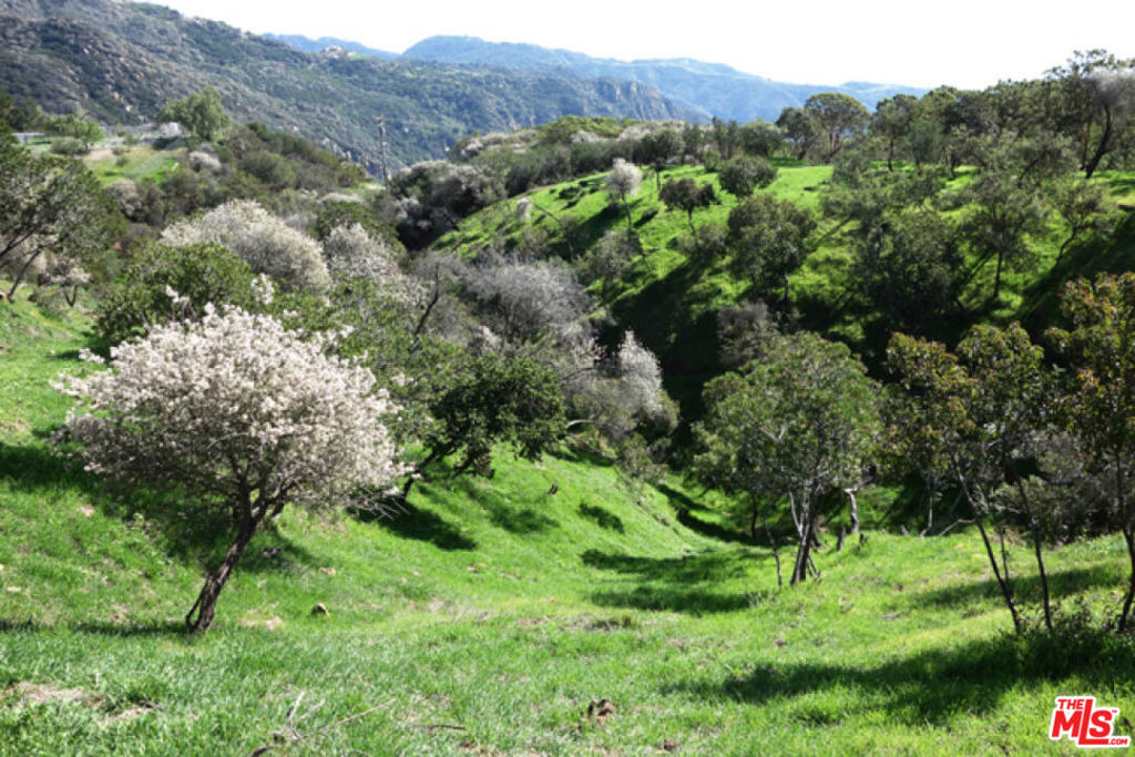 524 Moonrise Property Photo 3