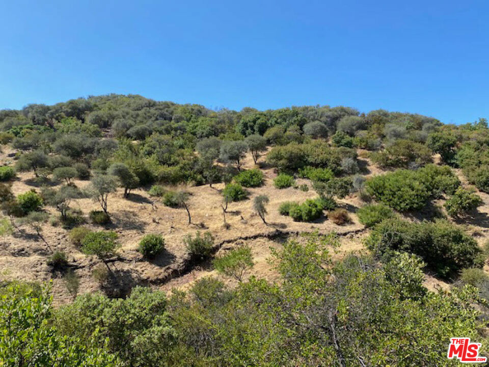 524 Moonrise Property Photo 10