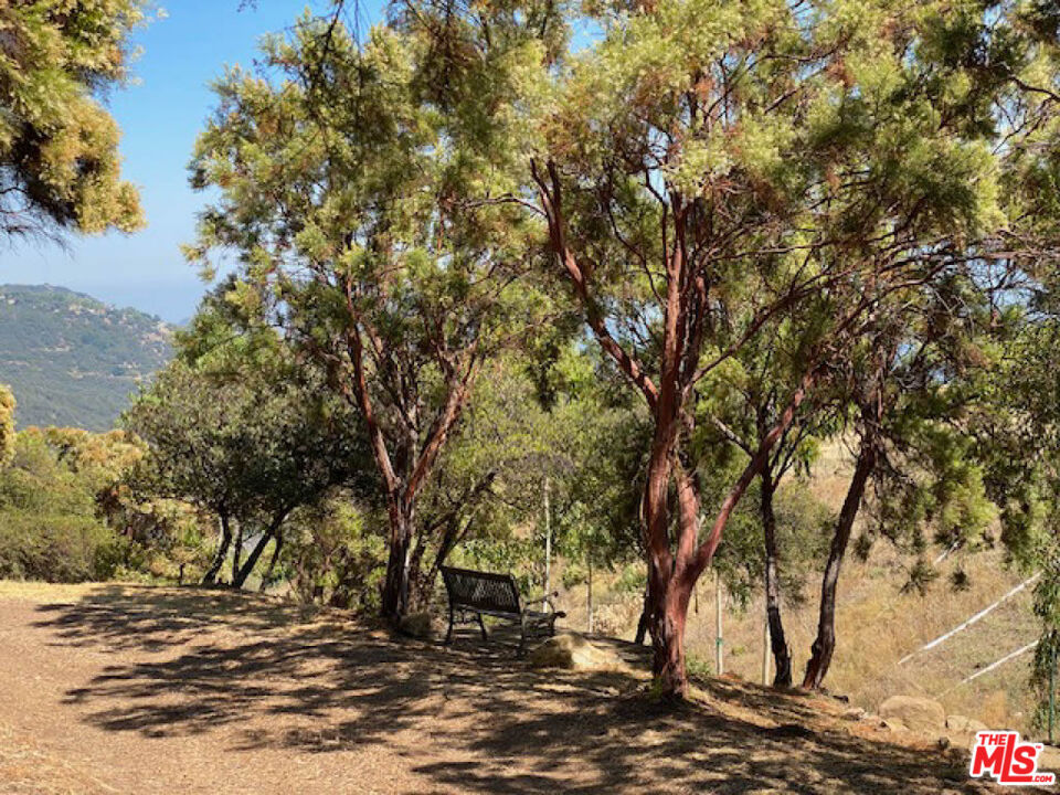 524 Moonrise Property Photo 11