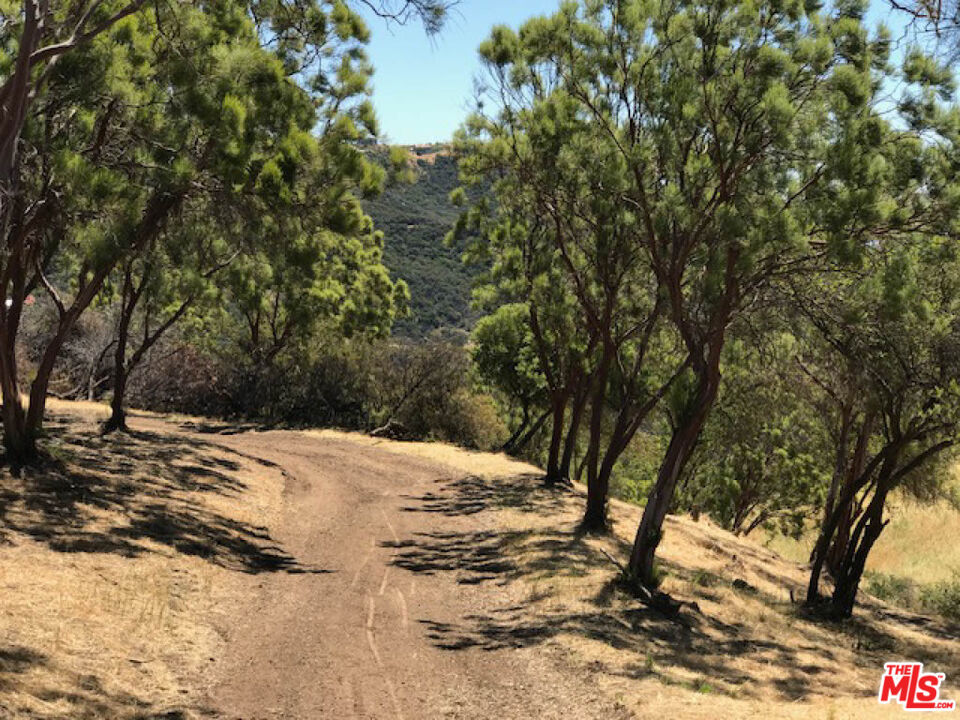 524 Moonrise Property Photo 14