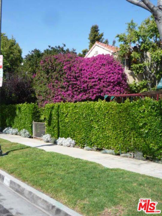 25565457 Property Photo 1
