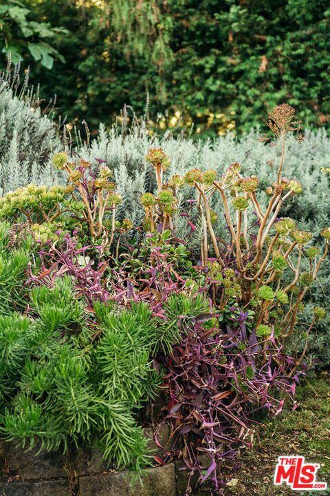 816 Hyperion Avenue Property Photo 26