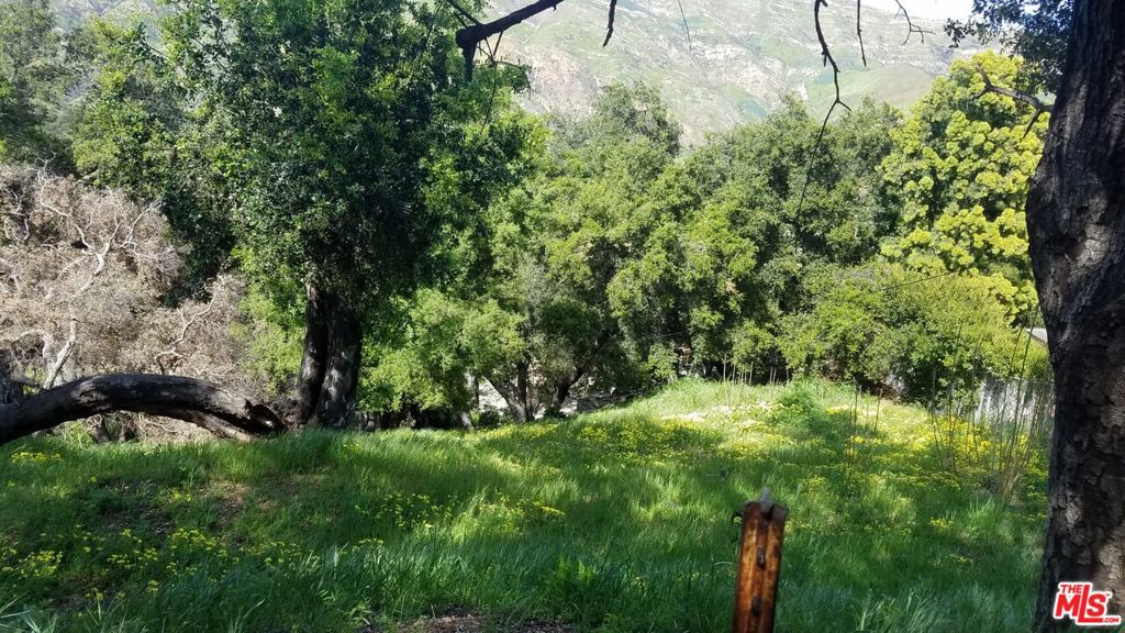 26247 Fairside Road Property Photo 1