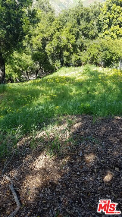 26247 Fairside Road Property Photo 5
