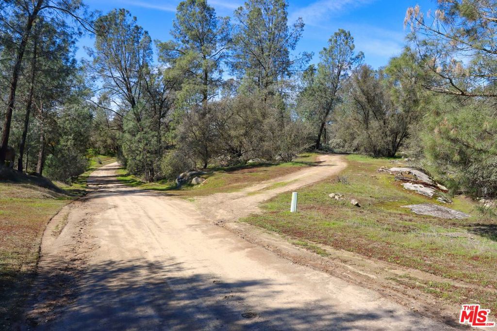 3 Blackhawk Drive Property Photo 25