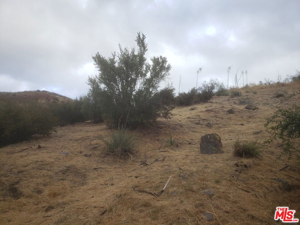 0 Canyon Way Property Photo 11