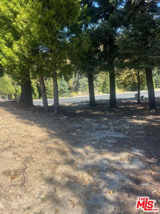 188 Mill Pond Road Property Photo 6