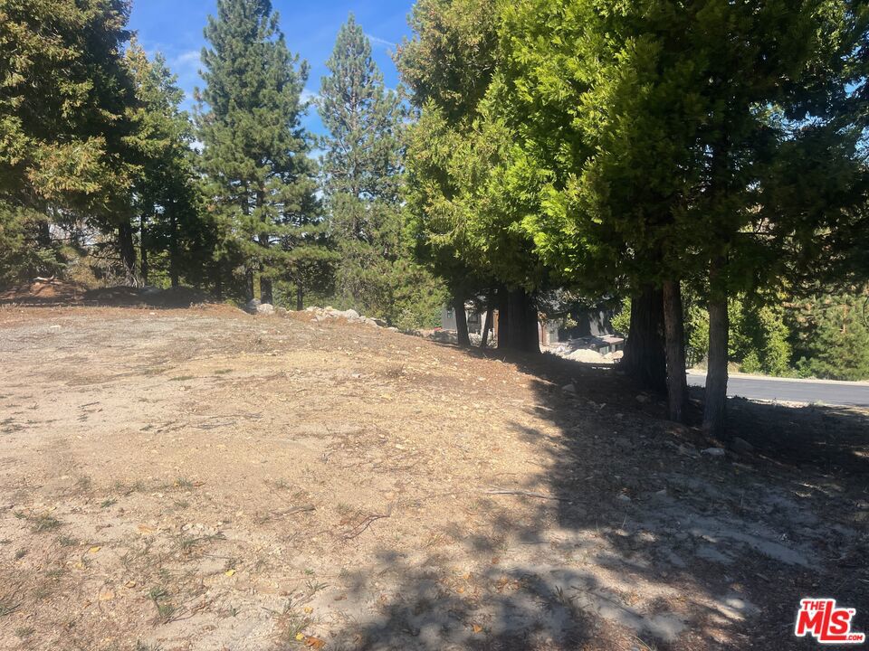 188 Mill Pond Road Property Photo 17